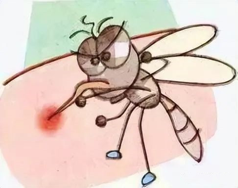 1678765395122281.jpg 2.jpg