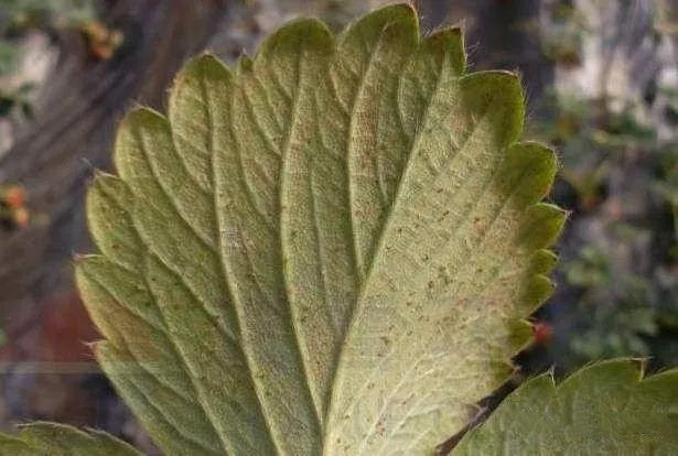 1678765889106205.jpg 1.jpg