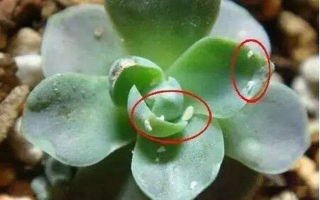 1678765910107772.jpg 2.jpg